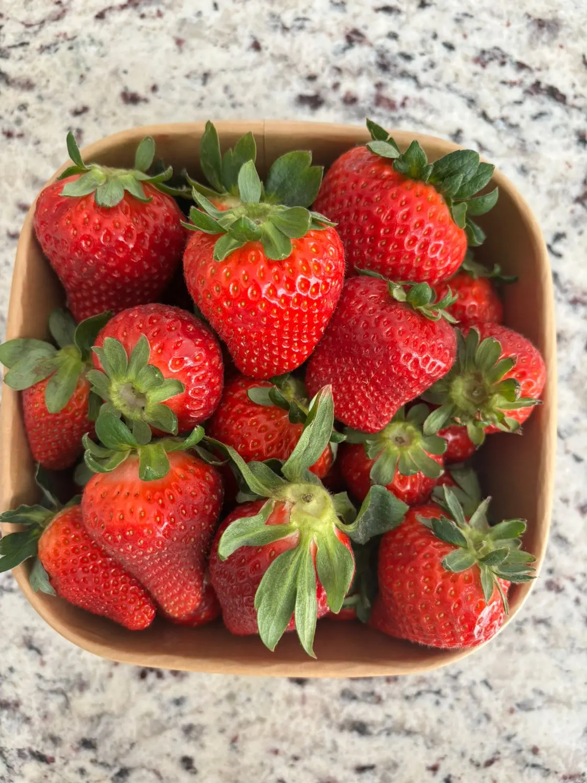 Cosecha de fresas frescas de Granja Lidia